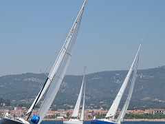 la solitaire 166